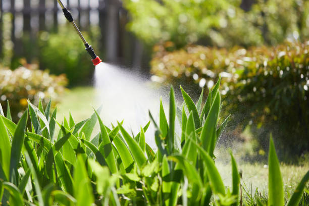 24/7 Emergency Mosquito Control experts in Forest View, IL